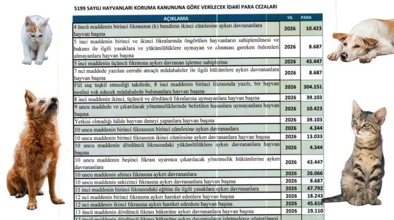Cezalar El Yakıyor! Köyceğiz'de Hayvan Hakları İhlaline Ağır Yaptırımlar