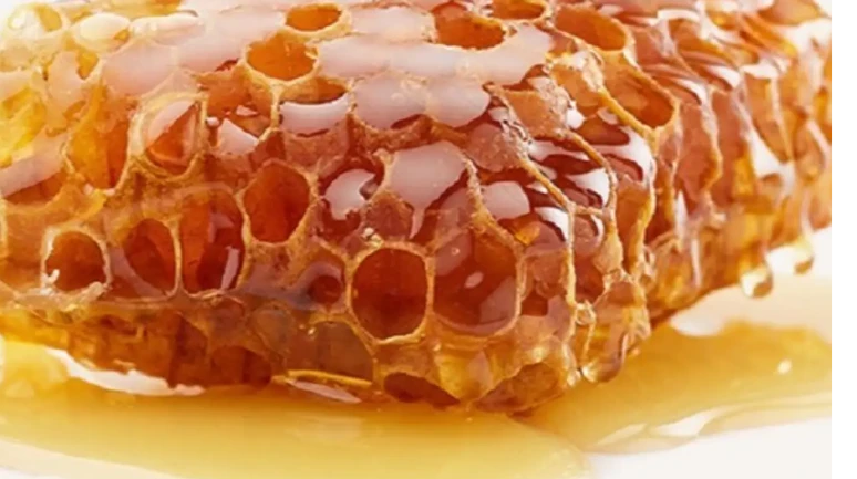 Köyceğiz Balı Doğal mı? Çam Balı ve Satış Noktaları