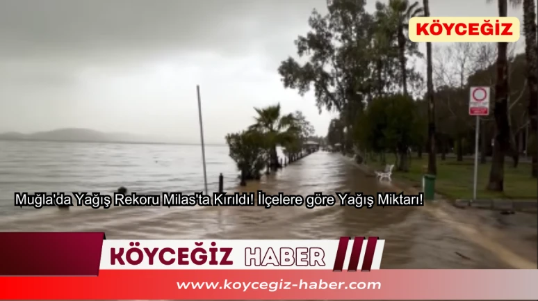 Muğla'da Yağış Rekoru Milas'ta Kırıldı! İlçelere göre Yağış Miktarı!