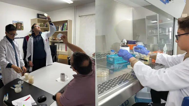 Köyceğiz BİLSEM’den TÜBİTAK’a Zeytin Projesi