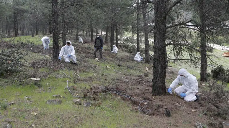 Muğla Ormanlarına Terminatör Böcek: 6 Bin 500 Salım Yapıldı!