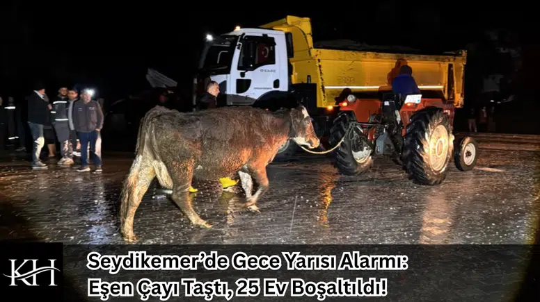 Seydikemer’de Gece Yarısı Alarmı: Eşen Çayı Taştı, 25 Ev Boşaltıldı!