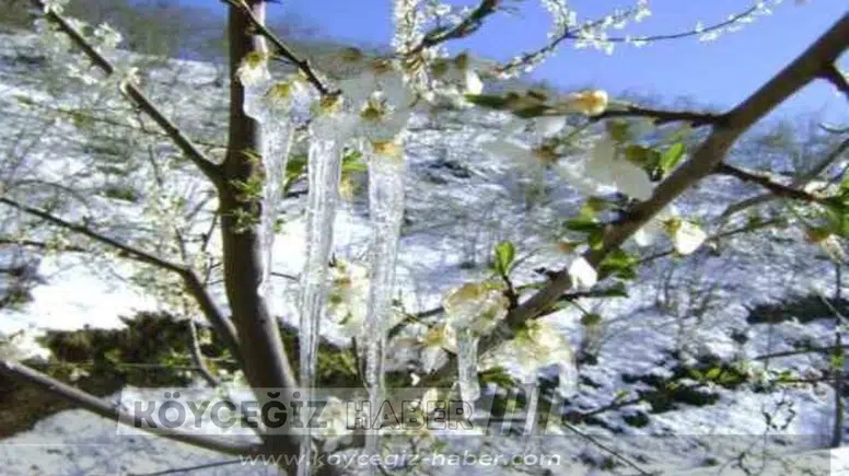 Son Dakika: Muğla'da Kar Yağışı Kapıda! 5 Gün Boyunca Dikkat