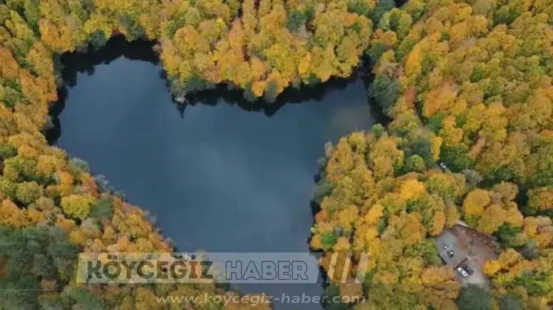 Muğla'nın Milli Parkları Risk Altında : 11 Bin Hektar Kiralığa Çıkıyor!