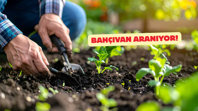 Marmaris'te İş İlanı : Deneyimli Bahçıvan Alınacak, Lojman Mevcut!