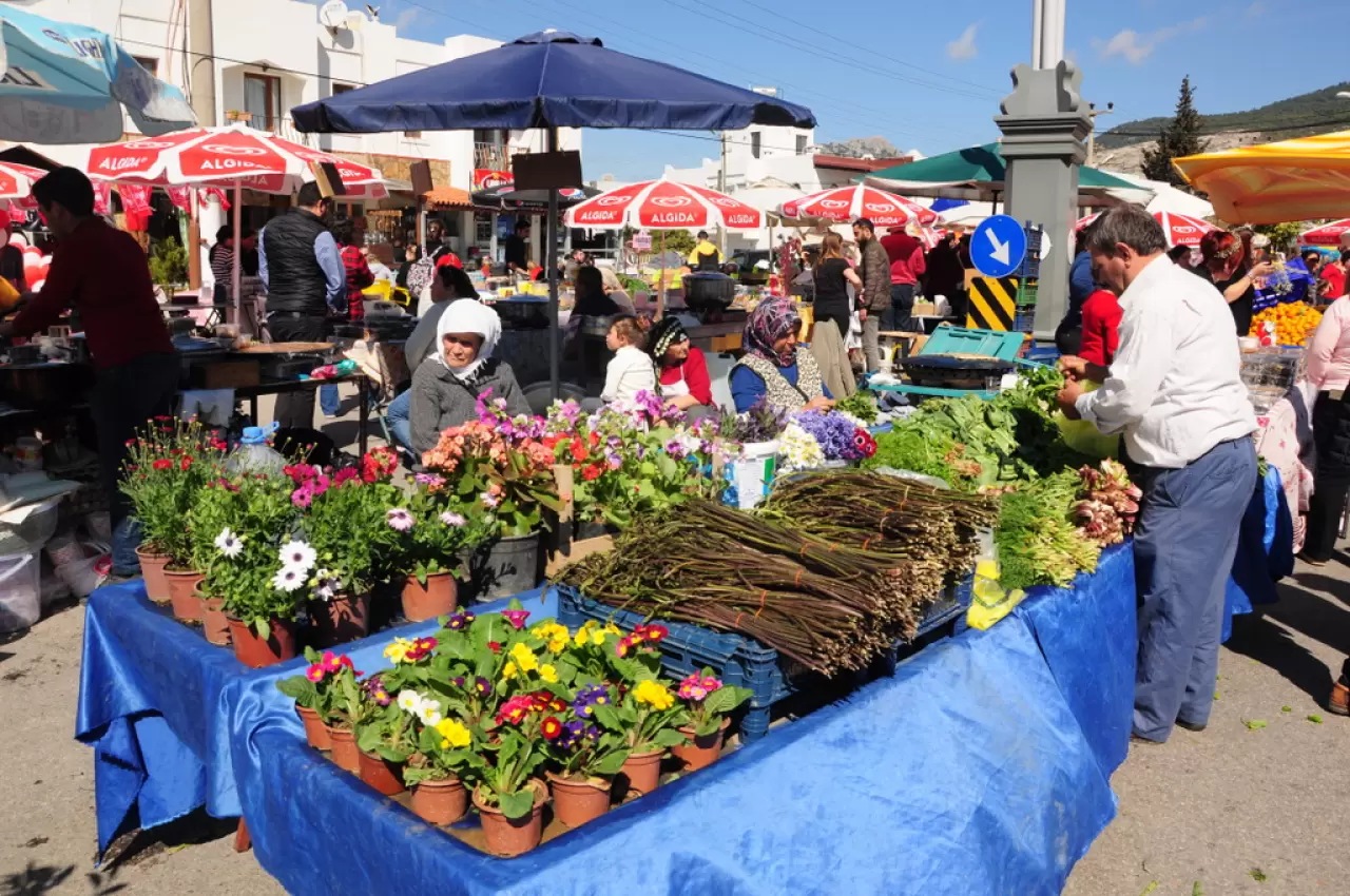 Bodrum Acı Ot Festivali'nin 6'ncısı 5 - 6 Nisan'da Düzenlenecek 3