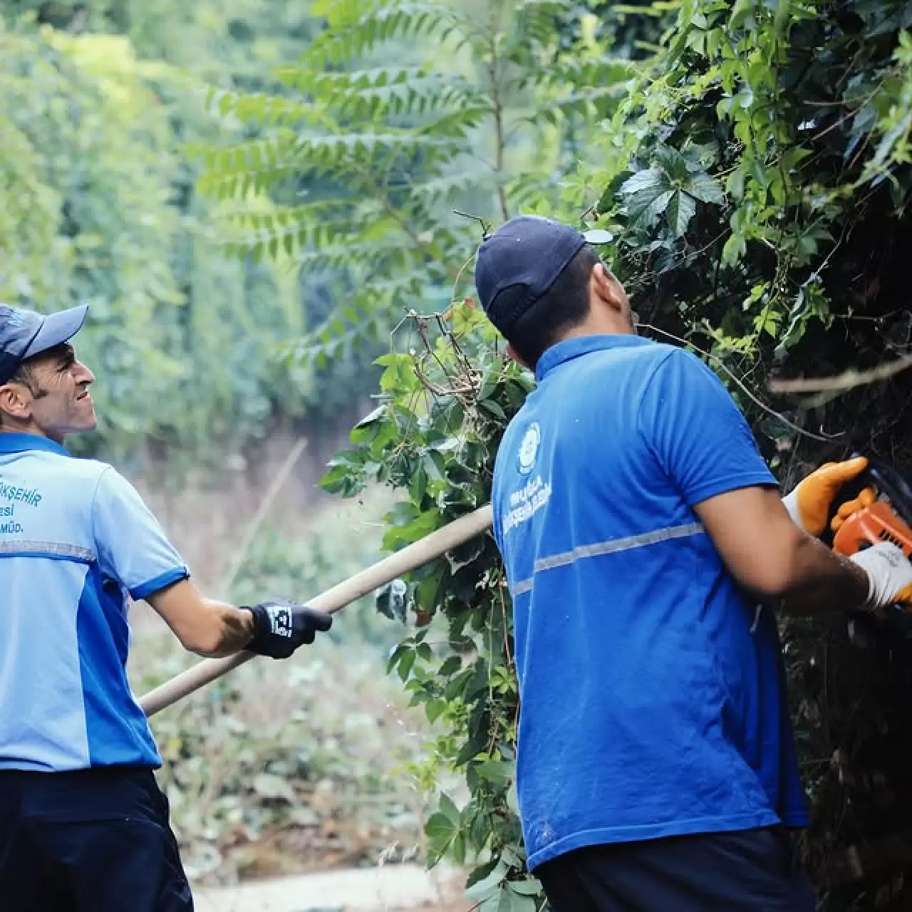 Muğla Belediyesi’nden Altyapı Hamlesi: Bodrum’a 1 Milyar TL’lik Dev Yatırım Yolda 2