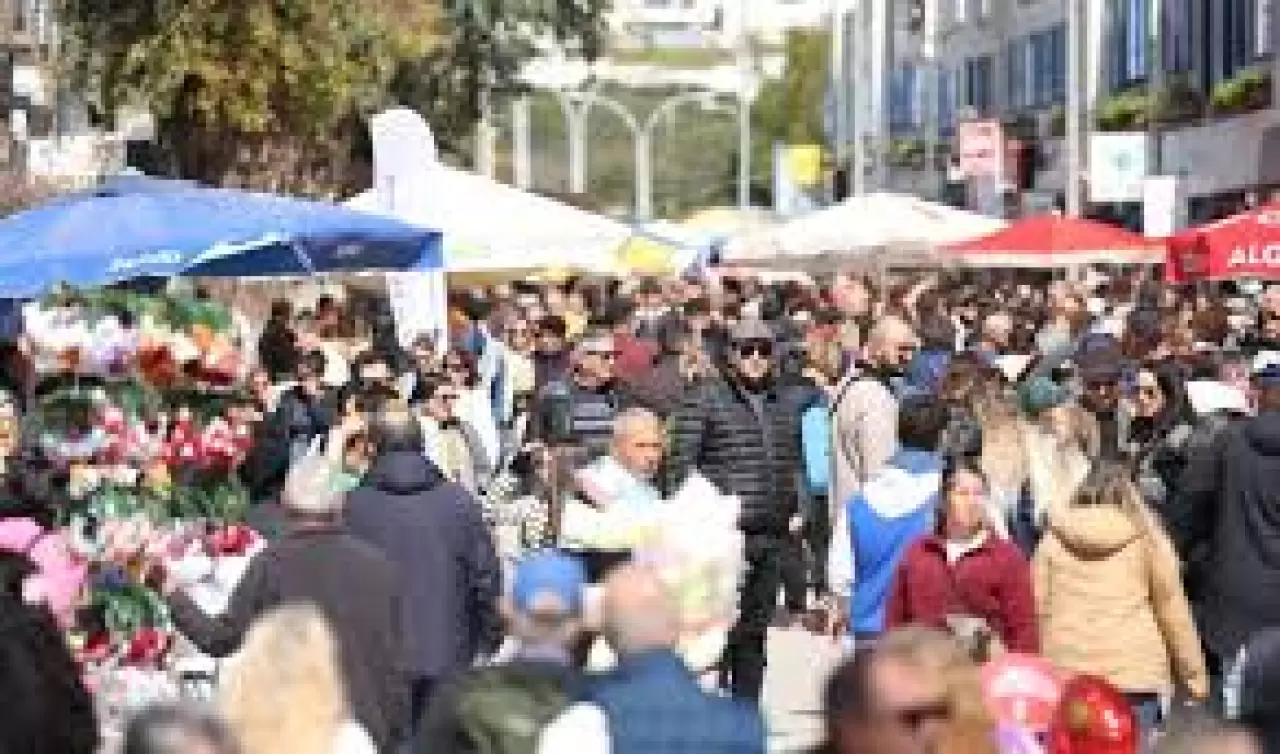 Bodrum Acı Ot Festivali'nin 6'ncısı 5 - 6 Nisan'da Düzenlenecek 2
