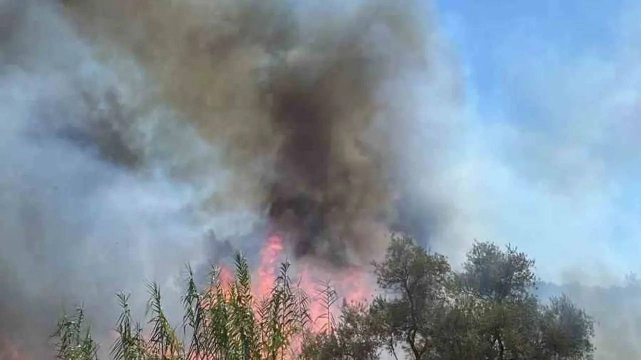 Bir Yangın'da Bodrumda Çıktı: Sazlık Alanda Yangın Korkuttu! 1