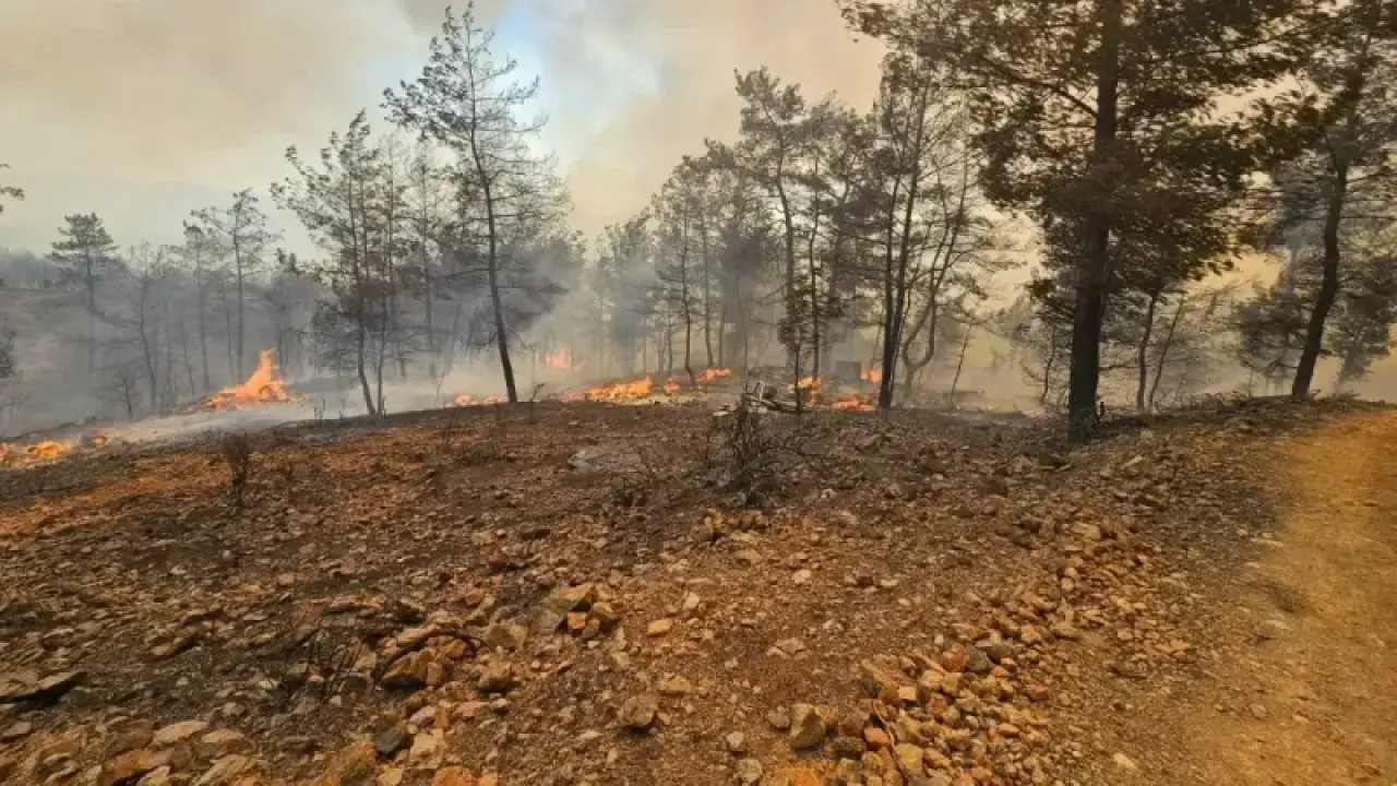 Köyceğiz’deki Orman Yangını 63 Saatte Kontrol Altına Alındı: 3 Bin Hektar Zarar Gördü 2