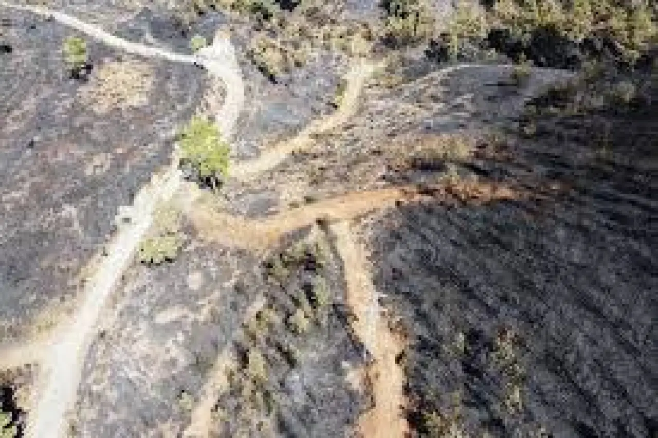 Köyceğiz’deki Orman Yangını 63 Saatte Kontrol Altına Alındı: 3 Bin Hektar Zarar Gördü 4