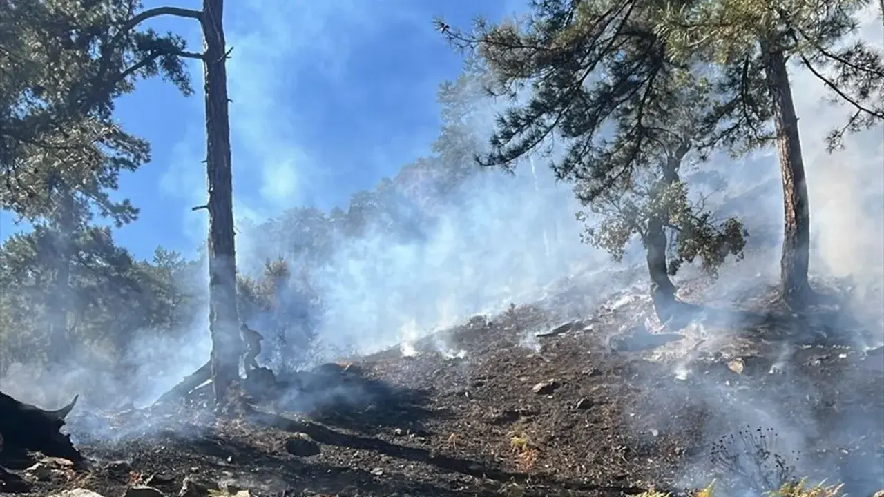 Köyceğiz’deki Orman Yangını 63 Saatte Kontrol Altına Alındı: 3 Bin Hektar Zarar Gördü 5
