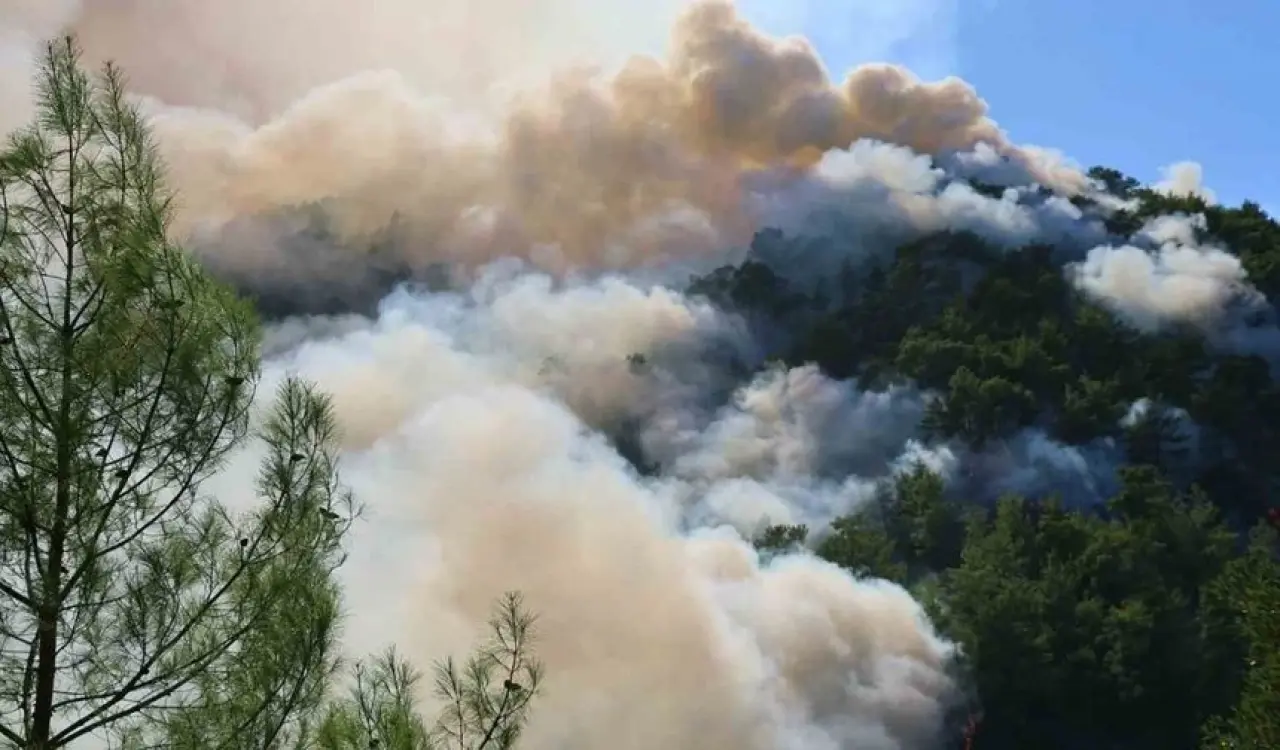 Bir Yangın'da Bodrumda Çıktı: Sazlık Alanda Yangın Korkuttu! 2