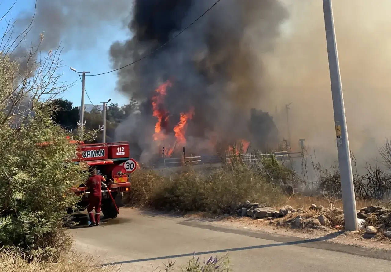 Bir Yangın'da Bodrumda Çıktı: Sazlık Alanda Yangın Korkuttu! 3