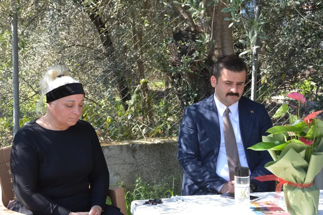 ağaç görseli olabilir