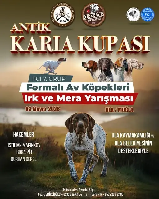 şunu diyen bir yazı 'KINBUGUEY KURZHAAR DERNEGI IRK FCI @ 漫 BATEE SANE ANTİK 1960 KARIA KUPASI FCI7.GRUP FCI7 GRUP Fermalı Av Köpekleri Irk ve Mera Yarışması 03Mayis2026 03 Mayıs 2026 ULA/MUĞLA HAKEMLER ISTILIAN ISTILIANMARINKOV MARINKOV BORA PİR BURHAN DERELI ULA KAYMAKAMLIĞI VE ULA BELEDİYESİNİN DESTEKLERİYLE Müracaat ve Ayrınblı Bilgi: Gazi DEMİRCİOĞLU 0533 36 44 54 54 Bora PİR 0505 274 37 80' görseli olabilir