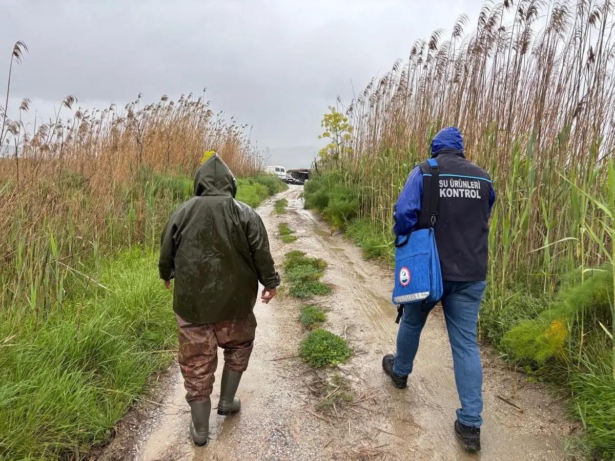 Milas Güllük Lagünü’nde yapılan denetimlerde yasadışı avlanan 80 kilogram kefale el konuldu, şahsa 16 bin 106 TL para cezası kesildi.