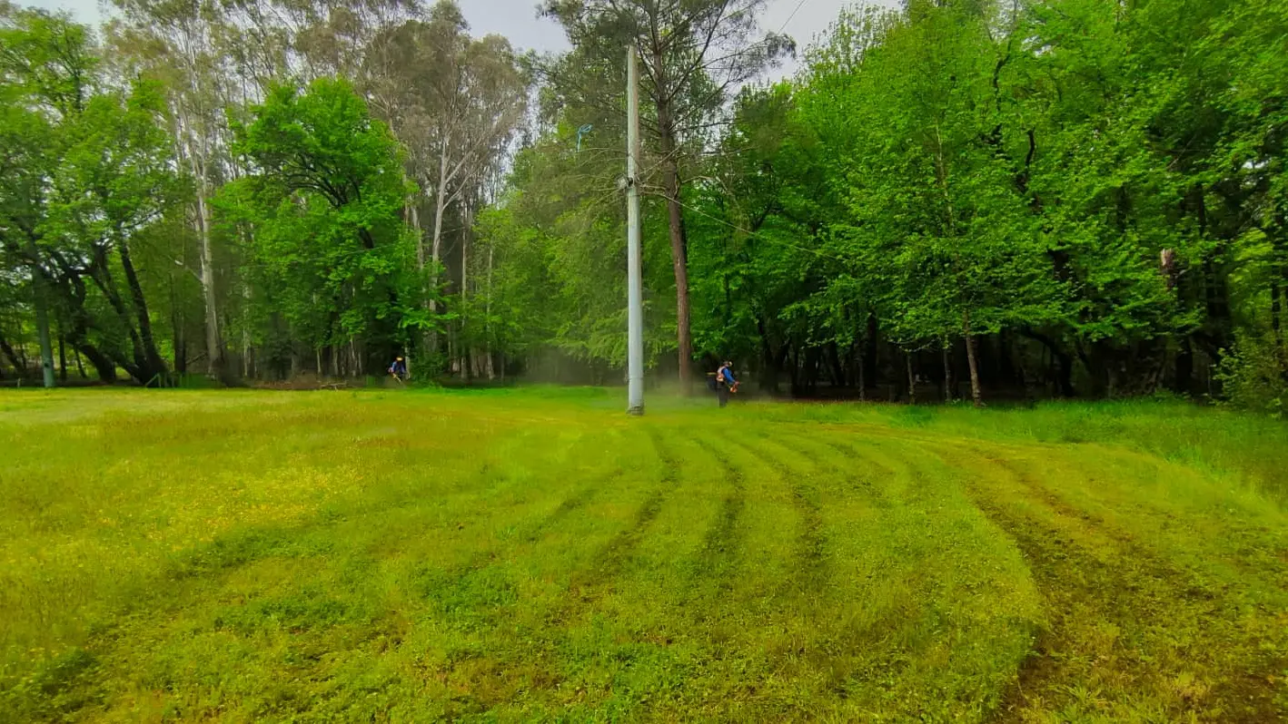 Köyceğiz Belediyesi ekipleri, Kazancı Mesire Alanı’nda çim biçme ve çevre düzenleme çalışmalarını tamamladı. Tertemiz bir mesire alanı sizi bekliyor.