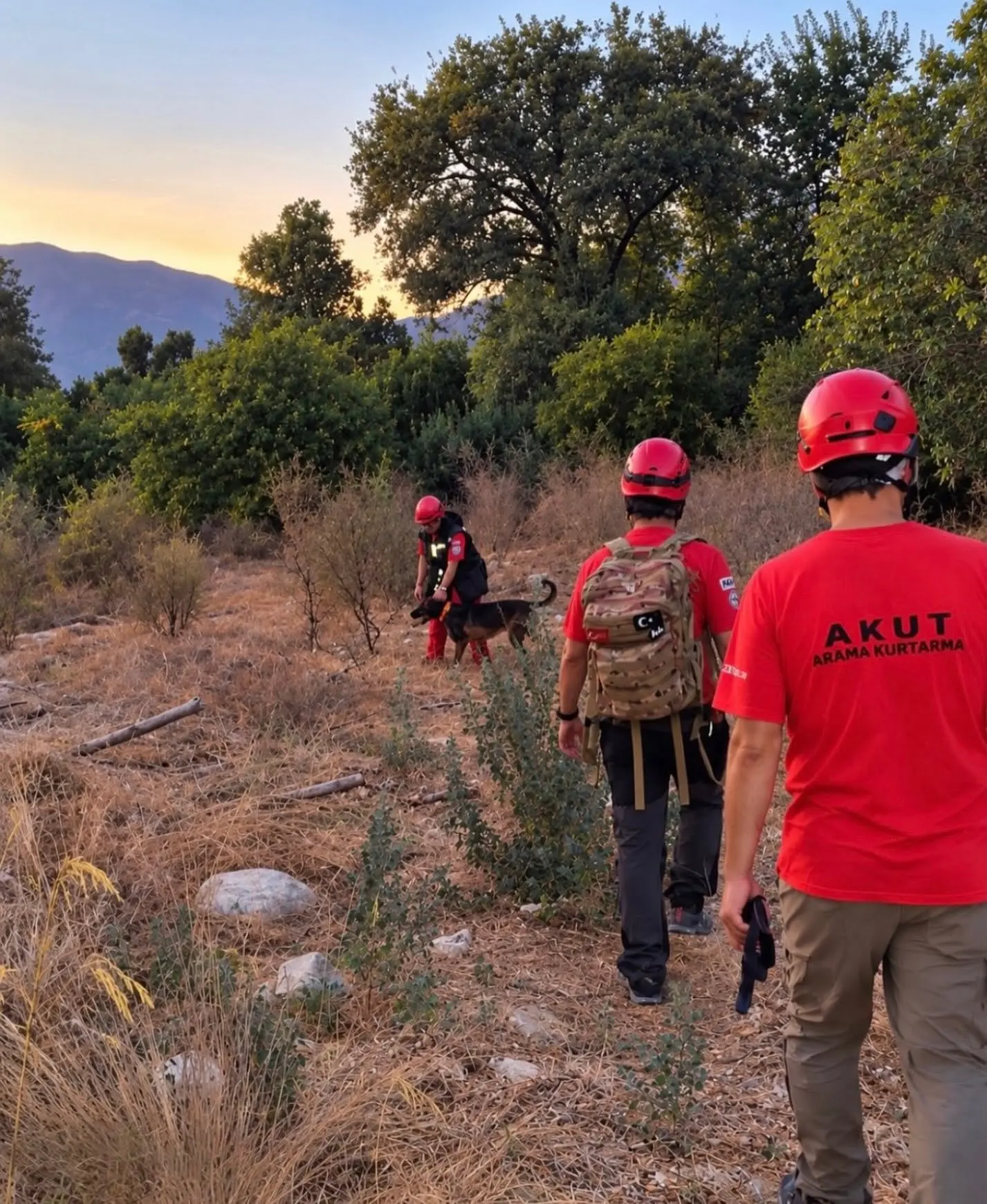 Köyceğiz’de 73 Yaşındaki Alzheimer Hastası Ahmet Kestek 6 Gündür Kayıp!  Ahmet kestek öldü mü, öldürüldü mü, cinayet, kalp krizi neden evde değil neden kaçtı, nerede ve nereye gitti