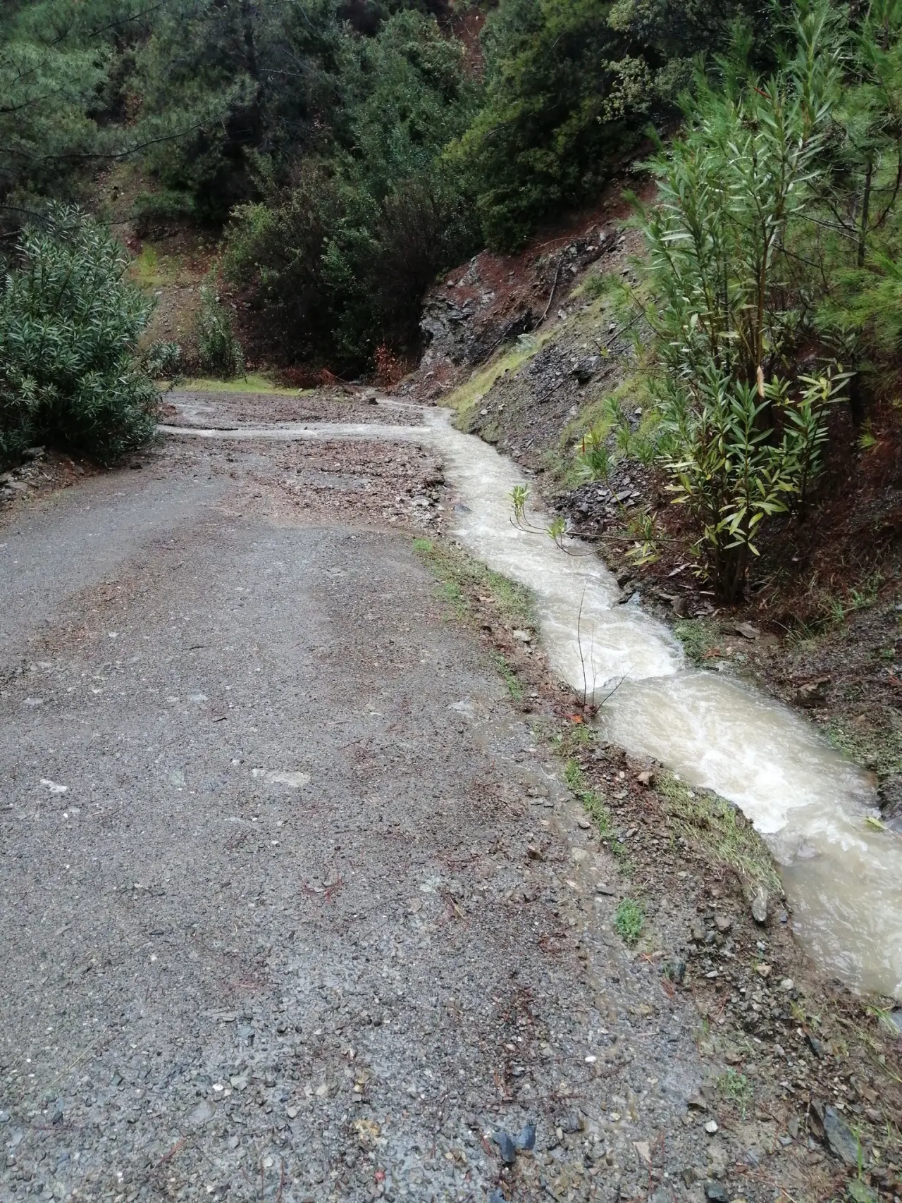 Köyceğiz Çayhisar Mahallesi Karacaağaç Sokak’ta öğrenci taşıma yolu bozuldu; Öğrenciler okula gidemiyor.