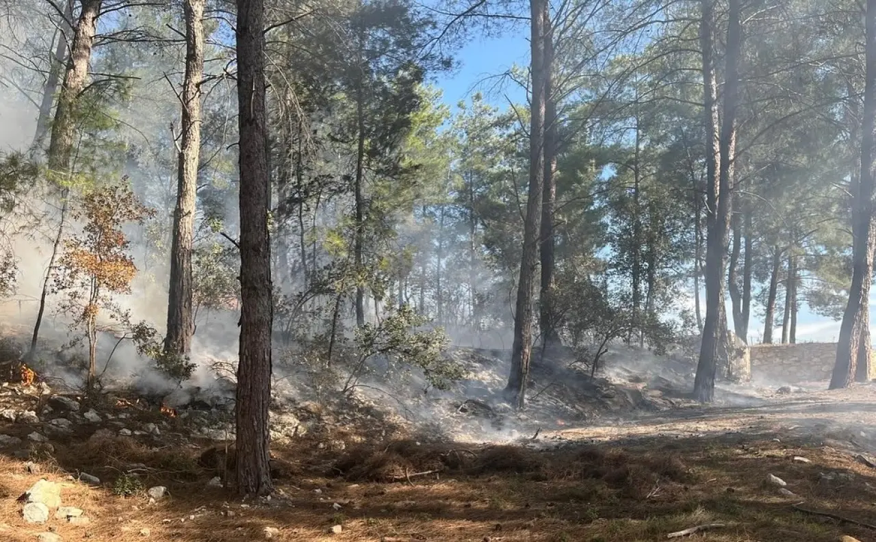 Milas’ta akşam saatlerinde Fesleğen ve Karacahisar civarında iki ayrı noktada orman yangını başladı; ekiplerin müdahalesi ve son durum haberimizde.