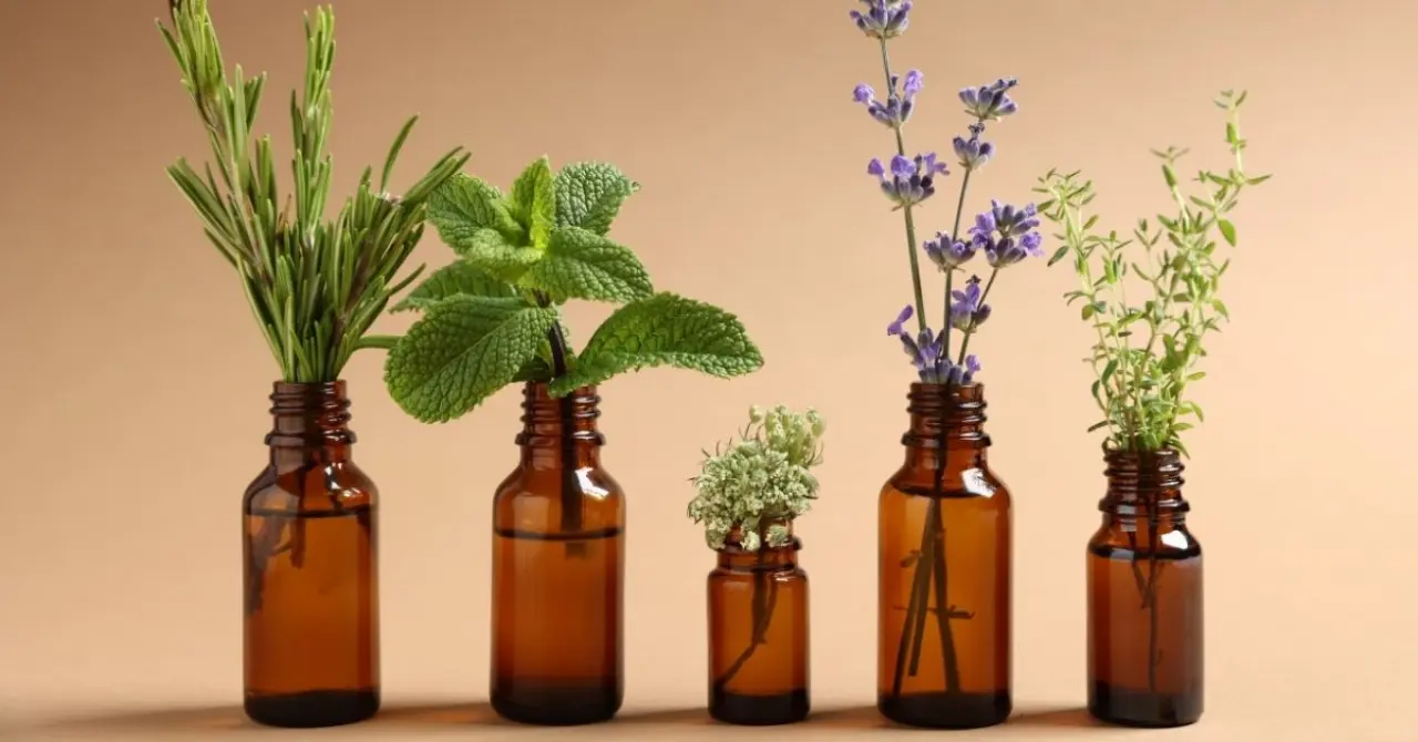 Köyceğiz Anadolu Lisesi'nde 18 Kasım 2025 saat 11:00'de Doç. Dr. Yusuf Sıcak "Tıbbi ve Aromatik Bitkiler" başlıklı sunum yapacak