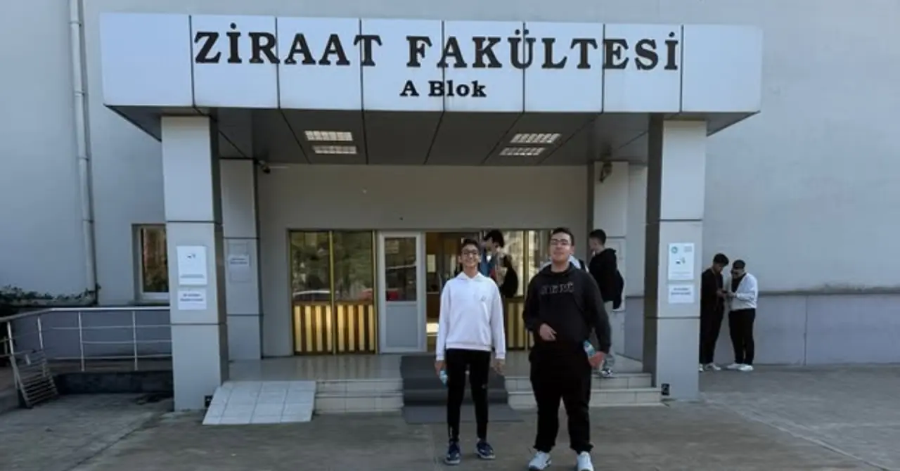 Köyceğiz BİLSEM öğrencileri, TÜBİTAK 2204-A için zeytin ağaçlarındaki endofitleri araştıran laboratuvar çalışmasını 19 Mayıs Üniversitesi ile yürüttü.