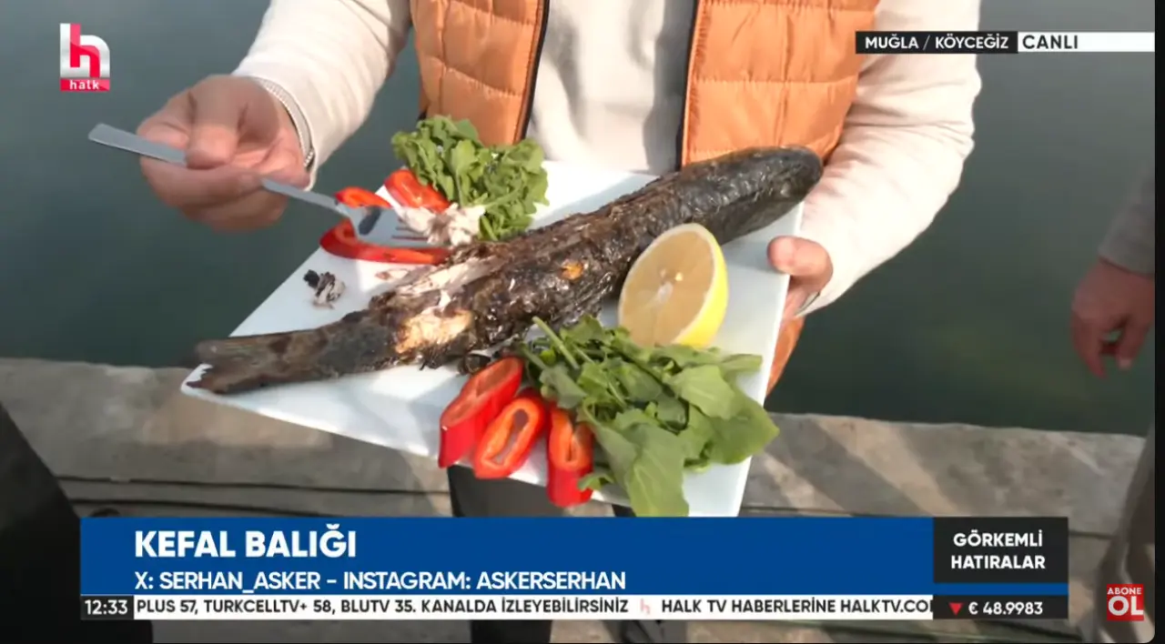 Köyceğiz’in Altın Lezzeti: Kefal Balığı | Mevsimi, Ekolojisi ve Yerel Önemi 