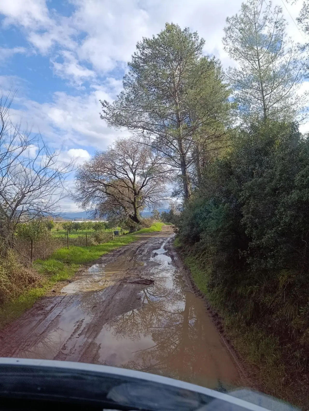 Köyceğiz Nasuhdede Mahallesi sakinleri, Merkez 5. Sokak’taki yolun çamur içinde olduğunu belirterek belediyeden çözüm istedi.