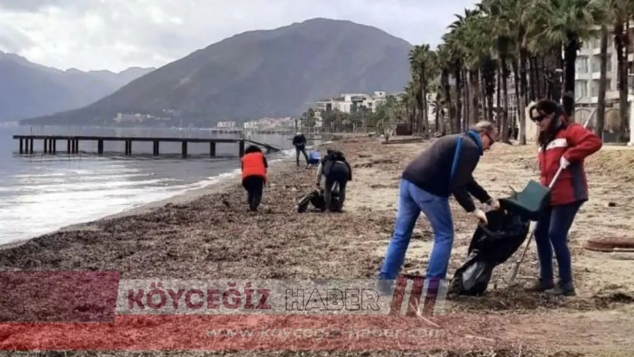 Marmaris'te şiddetli yağış ve selin ardından çöplüğe dönen sahiller, Marmaris Doğa Gönüllüleri tarafından temizlendi. 3 kilometrelik hat pırıl pırıl hale getirildi.