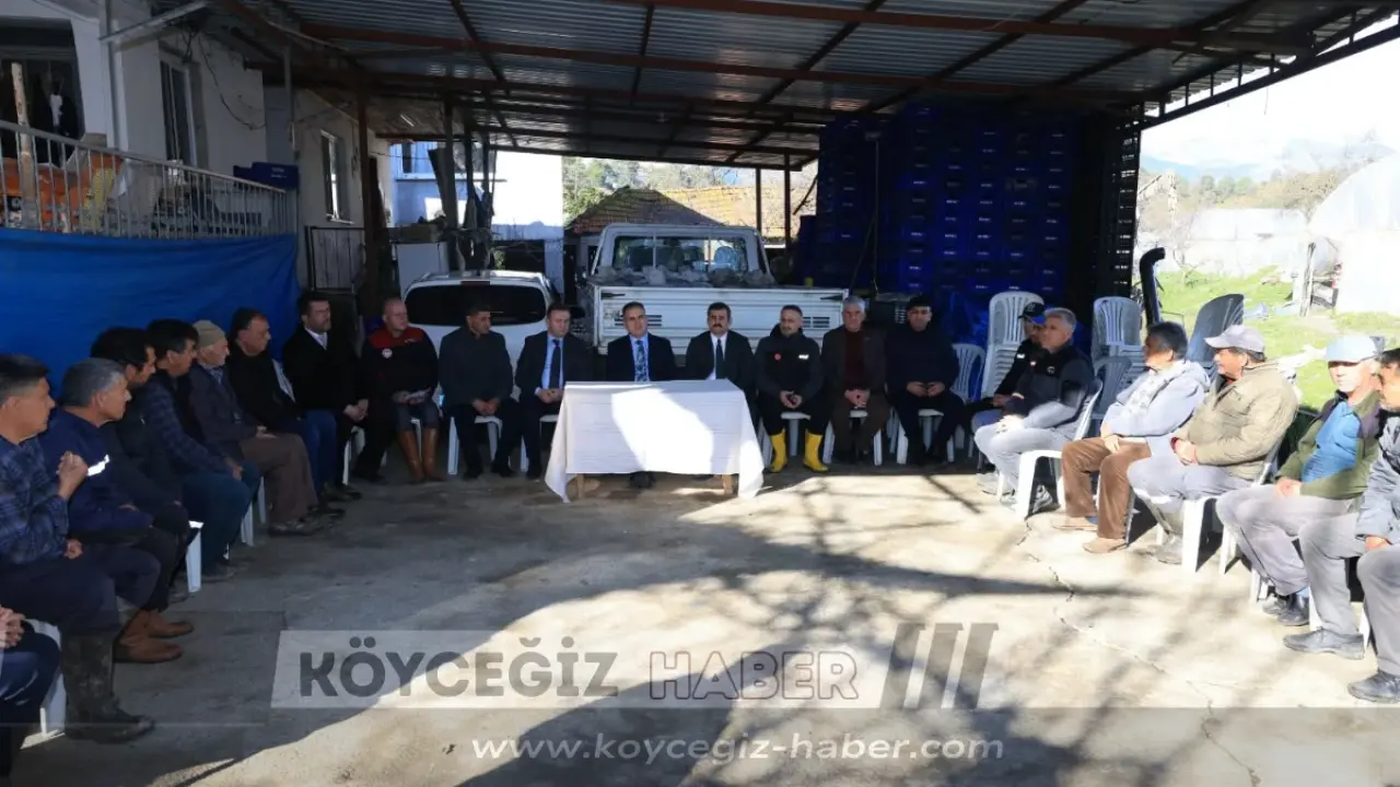 Sokaktaki Vatandaşın Nabzı: "Vali Bey Acımızı Da Derdimizi De Gördü"