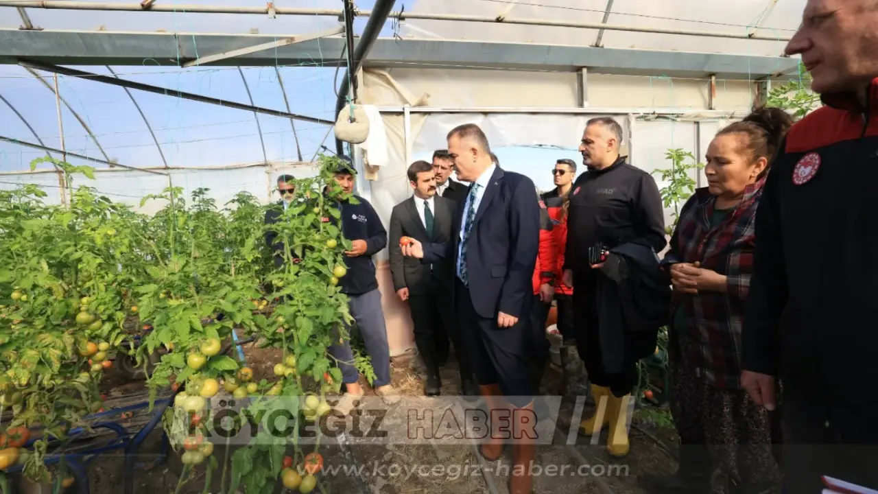 Köyceğiz’de Vali Akbıyık Mesaisi: Hem Acı Paylaşıldı Hem Yaralar İncelendi