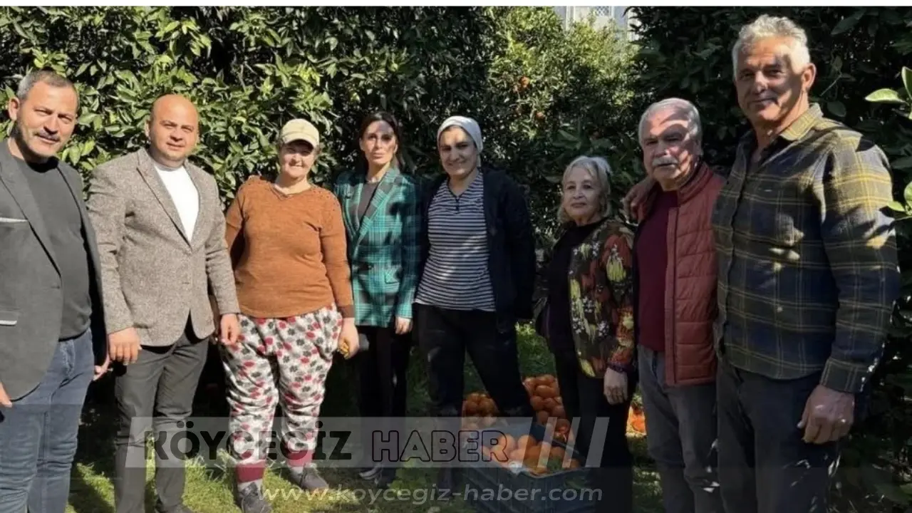 CHP Muğla Milletvekili Gizem Özcan, Köyceğiz'in Hamitköy, Zaferler ve Döğüşbelen mahallelerinde narenciye üreticileriyle bir araya gelerek sorunları inceledi.