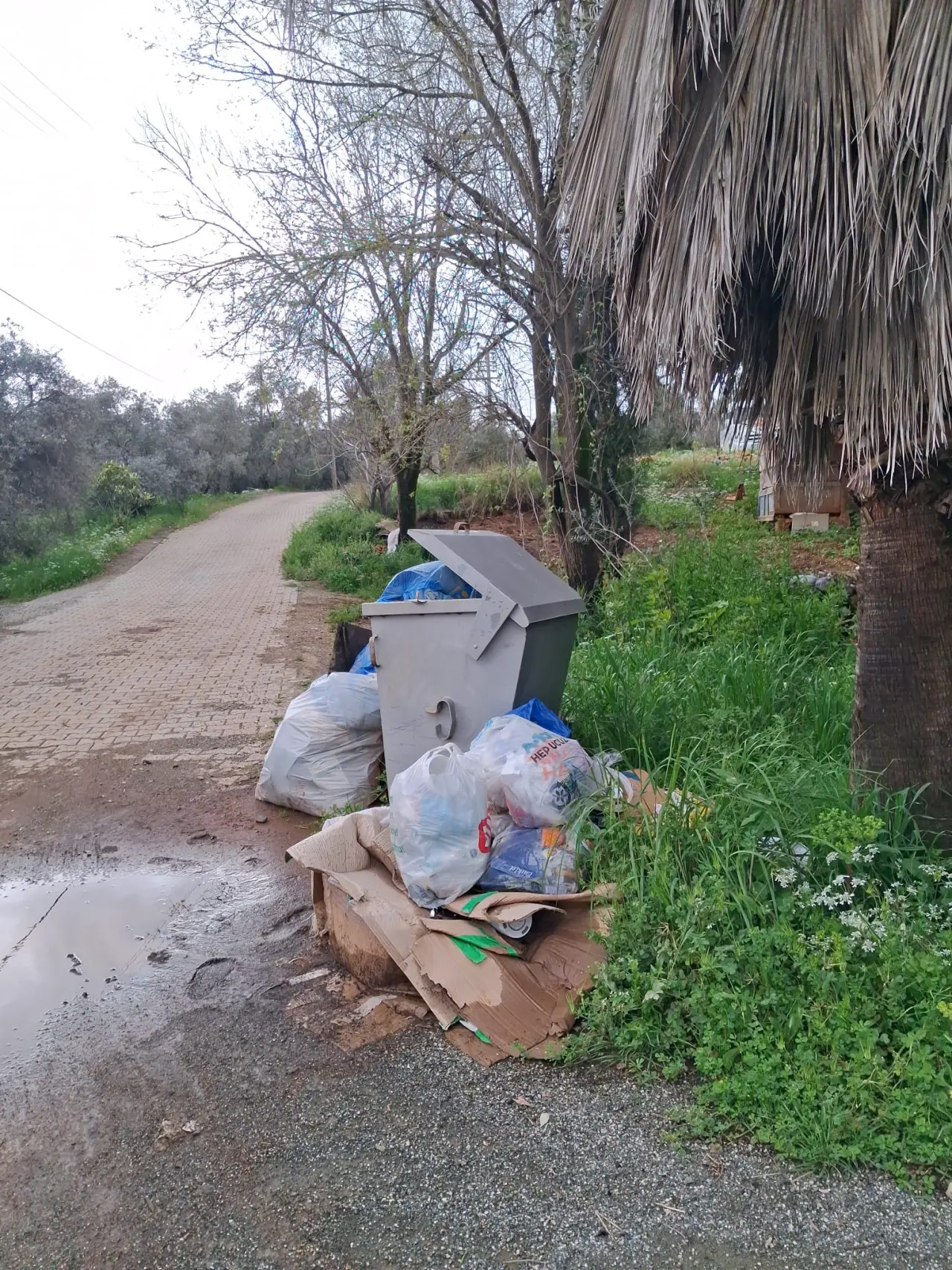 Köyceğiz Pınar Mahallesi Akyaka Sokak sakinleri, yaklaşık iki haftadır toplanmayan çöpler nedeniyle isyan etti. Mahalle halkı belediyeye çözüm çağrısında bulundu.