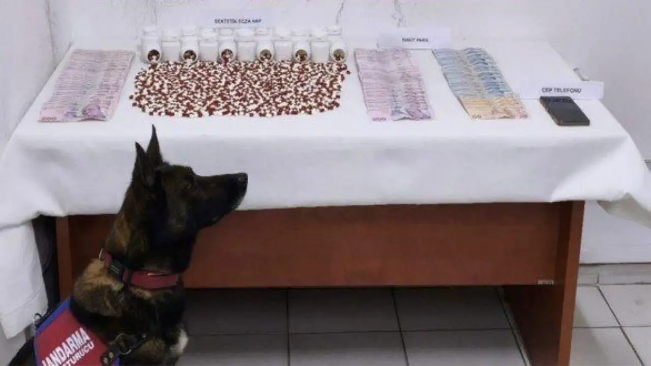 Muğla İl Jandarma Komutanlığı ekipleri, bir hafta içinde düzenlediği 22 farklı uyuşturucu operasyonunda 25 şüpheliyi yakalarken çok miktarda zehir ele geçirdi.