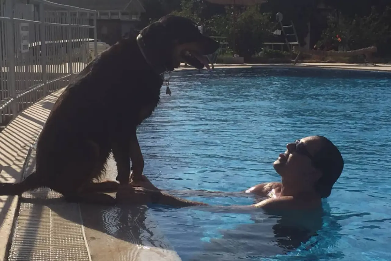 Ünlü şarkıcı Özlem Tekin’in eski eşi ve tanınmış müzisyen Cem Öcal, Bodrum’daki evinde hayatını kaybetmiş halde bulundu. Olayla ilgili soruşturma başlatıldı.