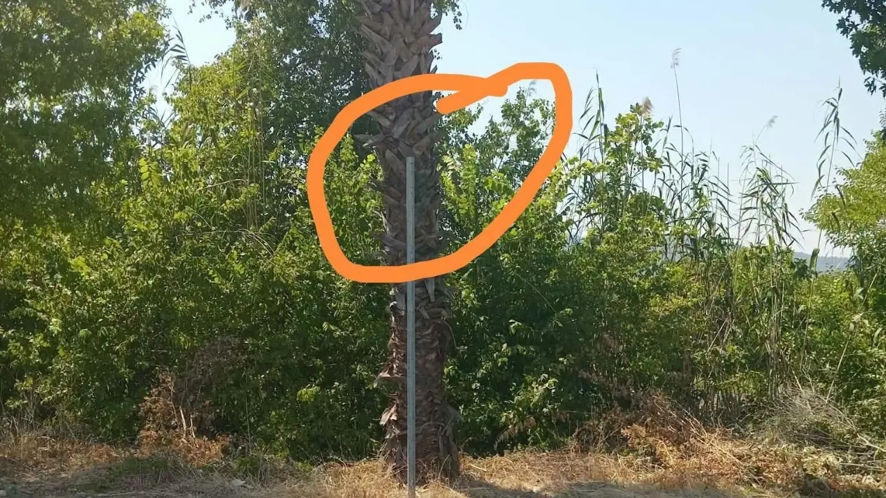 Ortaca Dikmekavak'ta sökülen yol aynası aylardır takılmadı. Yoğun sezon trafiğinde kaza riskiyle baş başa kalan mahalleli tepkili.